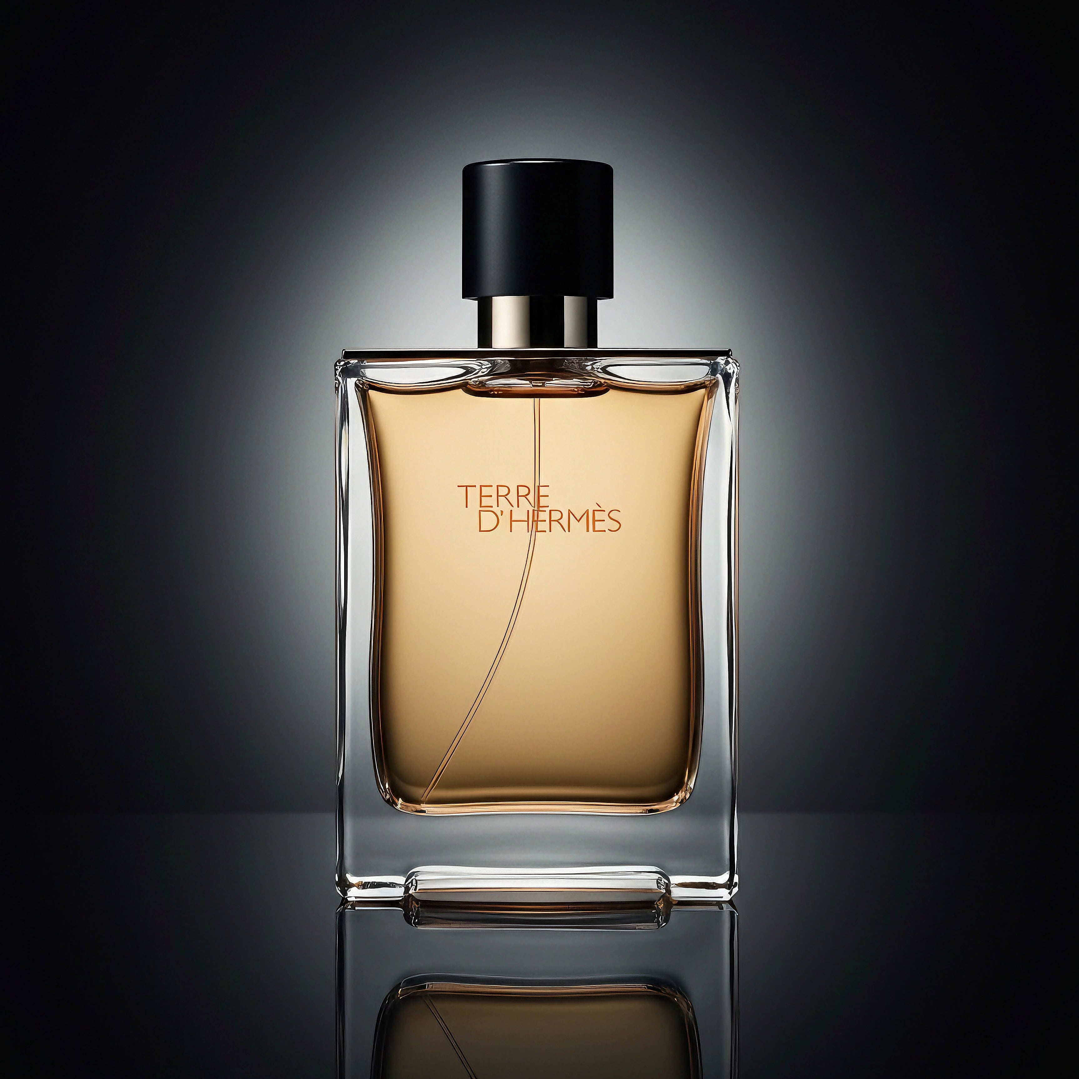 Hermès Terre d'Hermès 100ML | Earthy citrus woods – ishowperfume